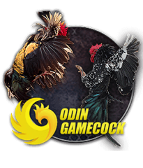 T8กีฬาสัตว์